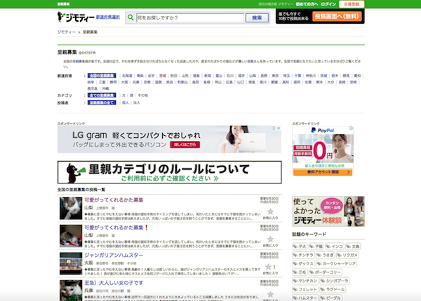 里親 ペットの里親の探し方 ジモティーで里親になる方法 桜猫のエサ盛亭 飼育術