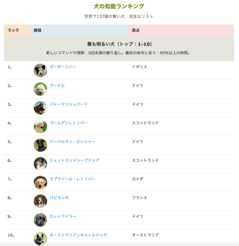 【TOP10】最も賢い動物ランキング 桜猫のエサ盛亭 飼育術