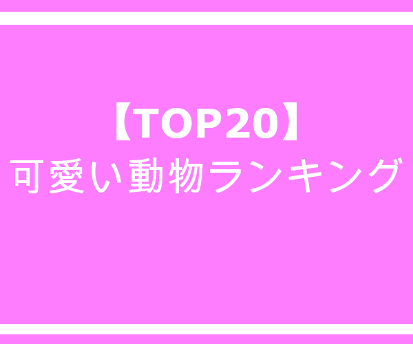 Top 最も可愛い動物の赤ちゃんランキング 桜猫のエサ盛亭 飼育術
